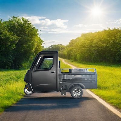 Optioneel 1000/1200/2000/3000W elektrische driewielers voor familie 3-wiel E-bike en Pedicab