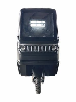 Optioneel 1000/1200/2000/3000W elektrische driewielers voor familie 3-wiel E-bike en Pedicab
