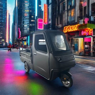 Optioneel 1000/1200/2000/3000W elektrische driewielers voor familie 3-wiel E-bike en Pedicab