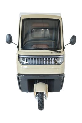 Elektrische driewielers 3 wielen E-Bike 3 wielen Motorfiets met 70-90 km rijlengte