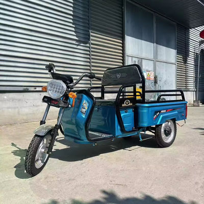 Zwaar vrachtvervoer met banden van 3,75 tot en met 12,600 kg 1000w elektrische motorfiets met drie wielen