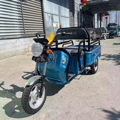 Zwaar vrachtvervoer met banden van 3,75 tot en met 12,600 kg 1000w elektrische motorfiets met drie wielen