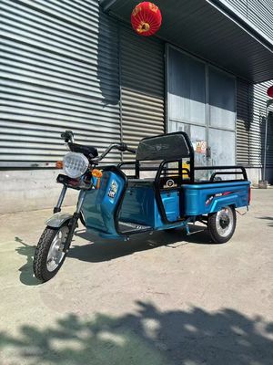 Custom Farm 1200W elektrische driewieler motorfiets met voordrom achterdromrem