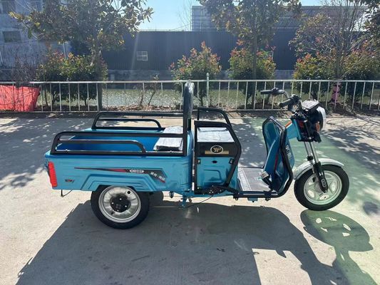 Custom Farm 1200W elektrische driewieler motorfiets met voordrom achterdromrem