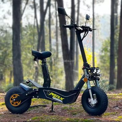Off Road 2000W 3000W Mobiliteit Elektrische Scooter COC EEG Borstelloze Motor 10 inch Hub Motor Elektrische Scooter Motorfiets met CE