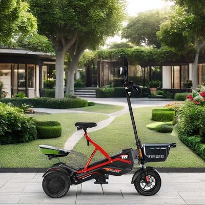Elektrische scooter met dubbele borstelloze motoren en stalen frame 48V500W*2 lithiumbatterie