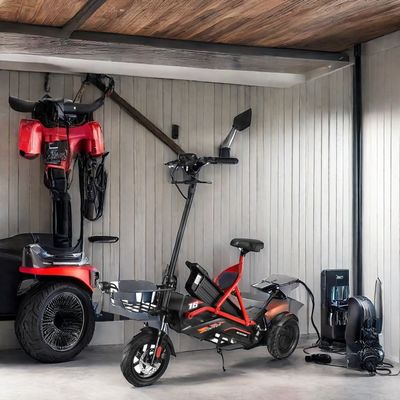 Elektrische scooter met dubbele borstelloze motoren en stalen frame 48V500W*2 lithiumbatterie