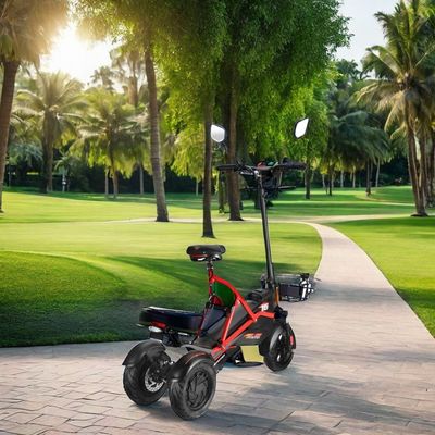 Elektrische scooter met dubbele borstelloze motoren en stalen frame 48V500W*2 lithiumbatterie