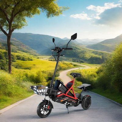 Elektrische scooter met dubbele borstelloze motoren en stalen frame 48V500W*2 lithiumbatterie