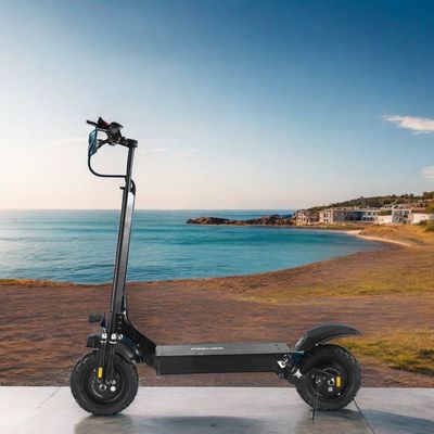 11&quot; voor- en achterbuisloze off-road unisex elektrische scooter 800W 1000W*2 60V18ah