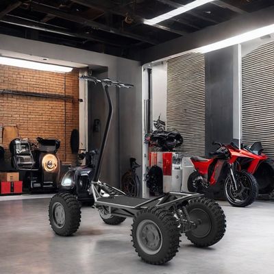 OEM Smart Digital Sensor Electronic Bluetooth 2kw 48V30ah Elektrische scooter voor off-road