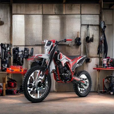 250cc off-road 4-takt benzinemotocross Dirt Bike met elektrische start en schijfrem