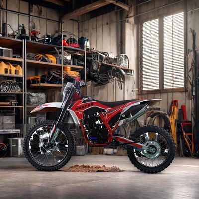 250cc off-road 4-takt benzinemotocross Dirt Bike met elektrische start en schijfrem