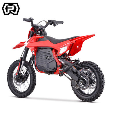 48V20AH Li-on Battery Kids Electric Pit Bike met Racing en 1200W borstelloze motor