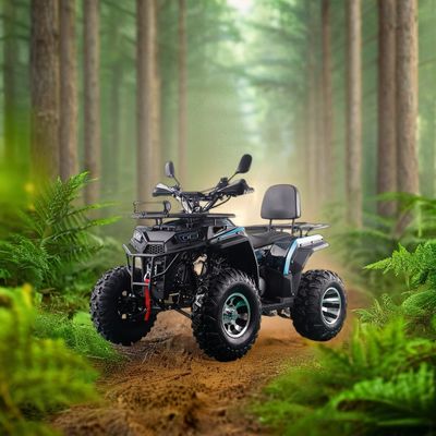 200CC ATV 250CC ATV Volwassen ATV Vierwieler met keten aandrijving en 1000W elektrische trekstart