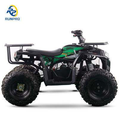 2WD alle terrein dubbel vierwieler strand buggy met 100-200kg nuttige lading capaciteit Perfect