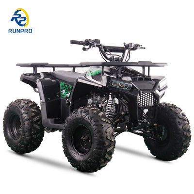 2WD alle terrein dubbel vierwieler strand buggy met 100-200kg nuttige lading capaciteit Perfect