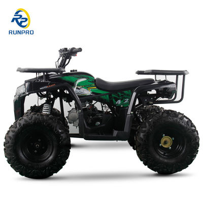 2WD alle terrein dubbel vierwieler strand buggy met 100-200kg nuttige lading capaciteit Perfect