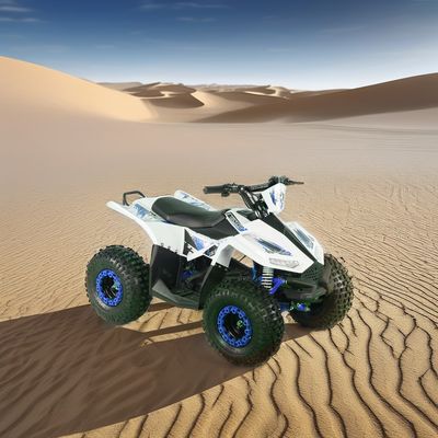48V 1200W Shaft Drive Electric ATV Quad Bike voor volwassenen en touring motoren