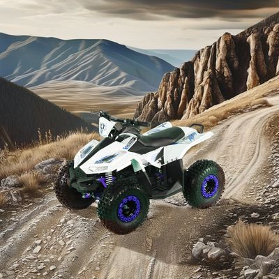 Kids Electric ATV Quad Bike met wielbasis 600-1000mm en Overige grootte 1250x760x800mm
