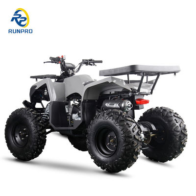 200cc benzine elektrische start ATV quad bike buggy UTV met betrouwbare prestaties