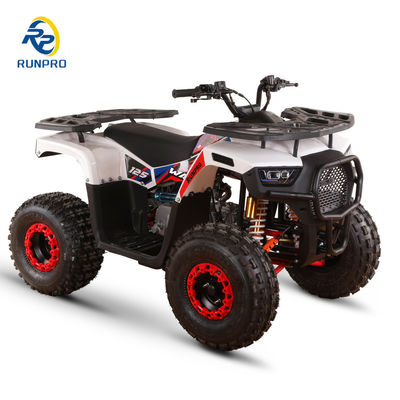 Voor- en achterhydraulische schijfremmen 125cc Farm ATV Quad met 19*7-8/18*9.5-8 wielen