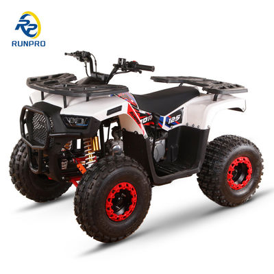 Voor- en achterhydraulische schijfremmen 125cc Farm ATV Quad met 19*7-8/18*9.5-8 wielen