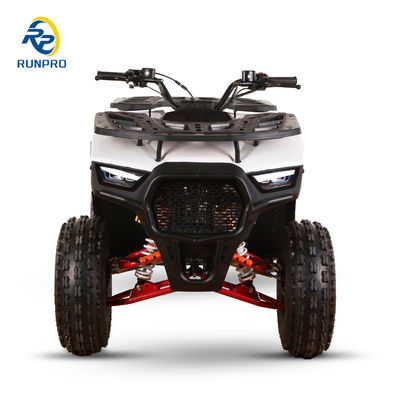 Voor- en achterhydraulische schijfremmen 125cc Farm ATV Quad met 19*7-8/18*9.5-8 wielen