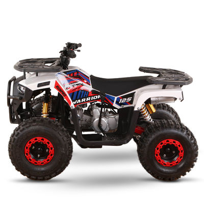 CE-gecertificeerde gas aangedreven kids quad bike 110cc 125cc ATV vierwieler met keten aandrijving