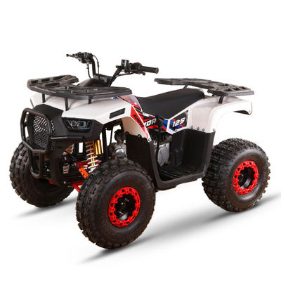 CE-gecertificeerde gas aangedreven kids quad bike 110cc 125cc ATV vierwieler met keten aandrijving