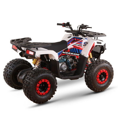CE-gecertificeerde gas aangedreven kids quad bike 110cc 125cc ATV vierwieler met keten aandrijving