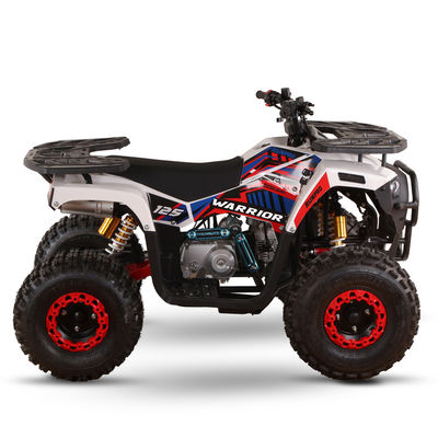 CE-gecertificeerde gas aangedreven kids quad bike 110cc 125cc ATV vierwieler met keten aandrijving