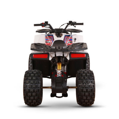 Volwassenen benzine transmissie 125cc ATV Motorcycle UTV met 150-200mm grondvrijheid