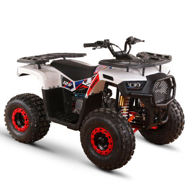 125cc 110cc 4 stroke Mini Quad EPA Volwassenen ATV's 4 Wheeler ATV voor Kinderen / Tieners Buggy ATV