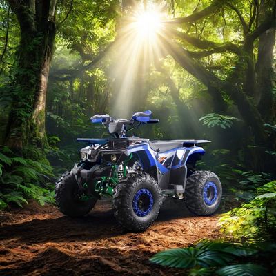Krachtige 125cc Gas Fuel ATV Quads met 2WD Driving Type en Interessante kenmerken