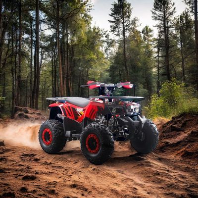 Krachtige 125cc Gas Fuel ATV Quads met 2WD Driving Type en Interessante kenmerken