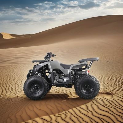 Krachtige 200cc gas ATV voor volwassenen Maximaal koppel van 40-60Nm en topsnelheid van 75km/h