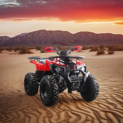 Krachtige 200cc gas ATV voor volwassenen Maximaal koppel van 40-60Nm en topsnelheid van 75km/h