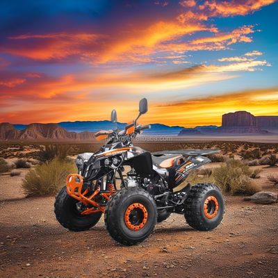 125cc elektrische start quad ATV voor volwassenen alle terreinen CE goedgekeurd