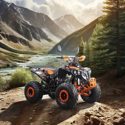 125cc elektrische start quad ATV voor volwassenen alle terreinen CE goedgekeurd