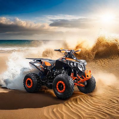 110cc luchtgekoelde benzine 4-wieler ATV Quad Bike met maximaal koppel Nm van 20-40Nm
