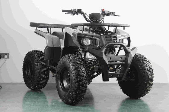 All-terrain 200cc benzine volwassen ATV met automatische motor en 10 inch stalen wielen