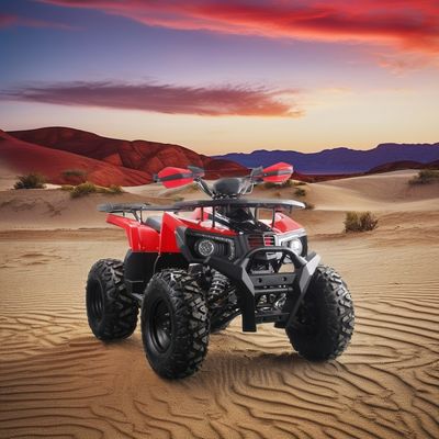 2024 Runpro 10 inch staal band 200cc ATV met LED licht Laat je innerlijke avonturier los