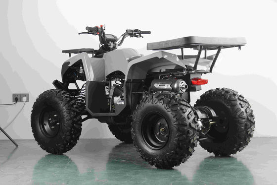Off-road 10 inch band 200cc 250cc volwassen quad ATV met automatische start en keten aandrijving