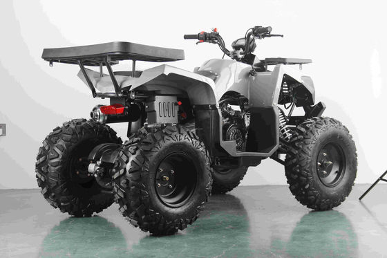 Off-road 10 inch band 200cc 250cc volwassen quad ATV met automatische start en keten aandrijving