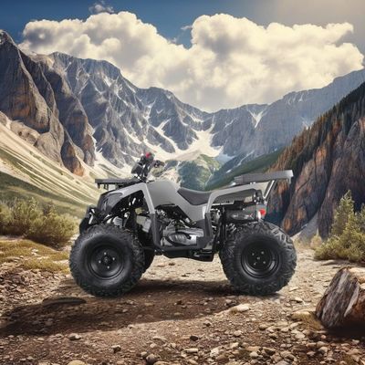 2024 Off Road 10 inch band Big ATV 150CC 200CC 250CC Volwassen Farm Quad 4 Stroke Vier wielen met CE