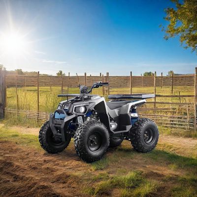 2024 Off Road 10 inch band Big ATV 150CC 200CC 250CC Volwassen Farm Quad 4 Stroke Vier wielen met CE