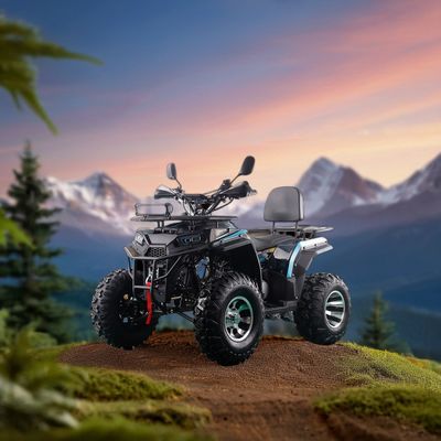 RUNPRO 200CC ATV Quad Bike voor volwassenen Elektrische trekstart en automatische transmissie