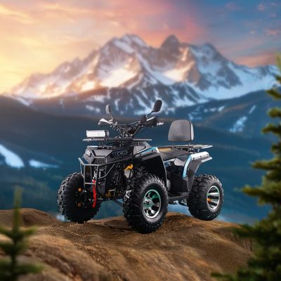 RUNPRO 200CC ATV Quad Bike voor volwassenen Elektrische trekstart en automatische transmissie