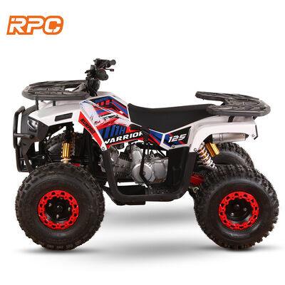 110cc 125cc 150cc 4-takt gas aangedreven kids quad bike ATV voor automatische transmissie